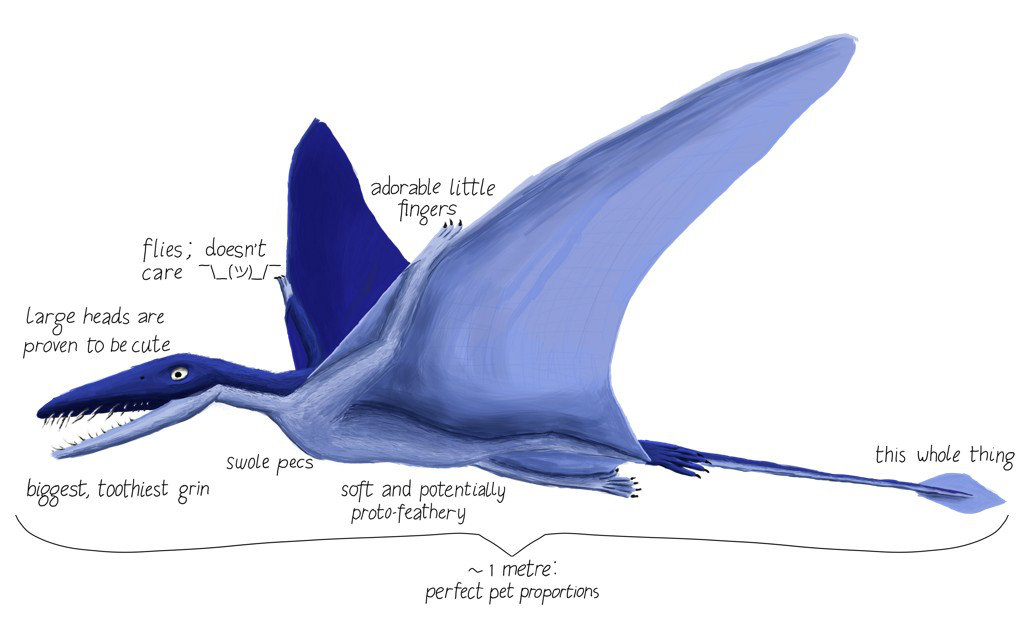 walking with dinosaurs rhamphorhynchus